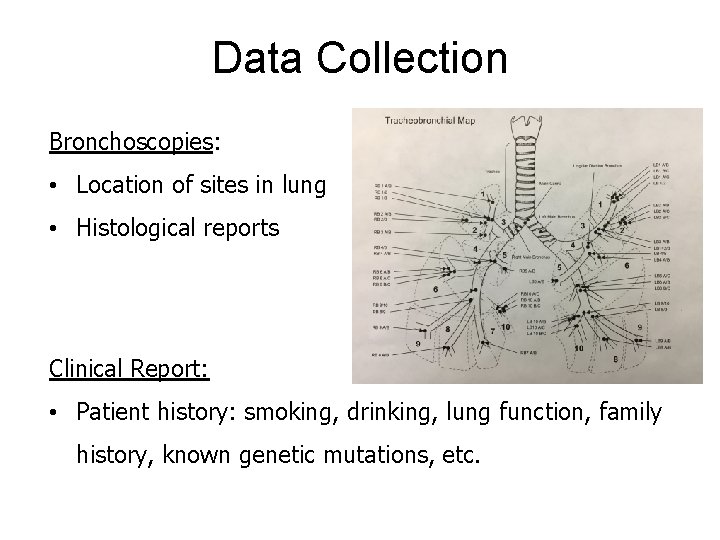Data Collection Bronchoscopies: • Location of sites in lung • Histological reports Clinical Report: