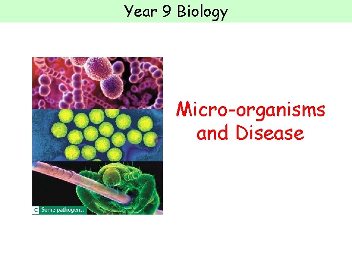 Year 9 Biology Micro-organisms and Disease 