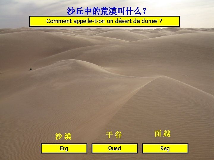 沙丘中的荒漠叫什么？ Comment appelle-t-on un désert de dunes ? 沙漠 干谷 面越 Erg Oued Reg