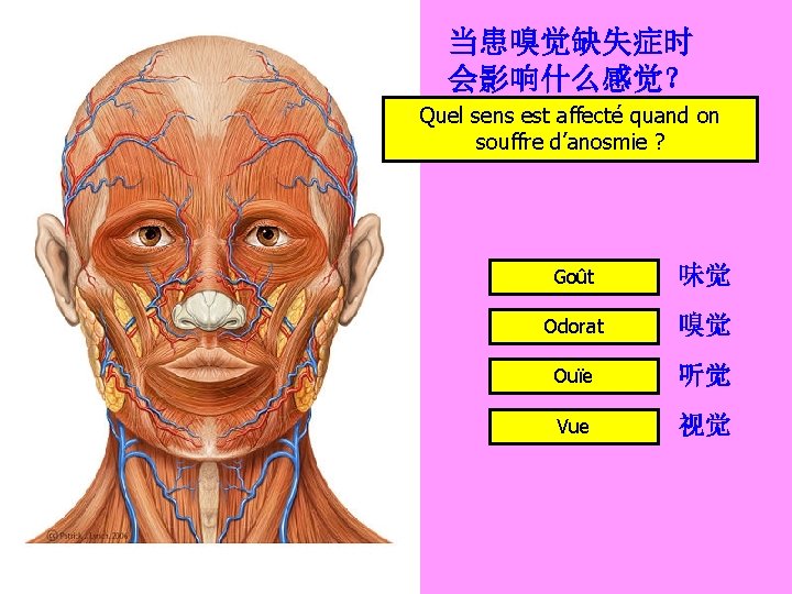 当患嗅觉缺失症时 会影响什么感觉？ Quel sens est affecté quand on souffre d’anosmie ? Goût 味觉 Odorat