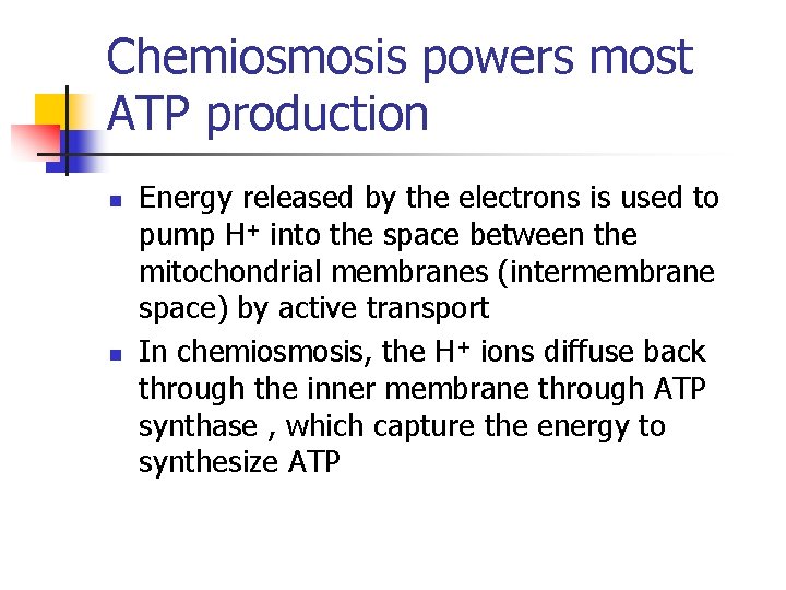 Chemiosmosis powers most ATP production n n Energy released by the electrons is used