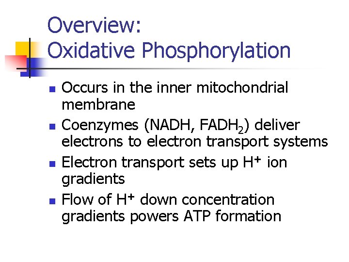Overview: Oxidative Phosphorylation n n Occurs in the inner mitochondrial membrane Coenzymes (NADH, FADH