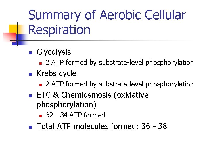 Summary of Aerobic Cellular Respiration n Glycolysis n n Krebs cycle n n 2