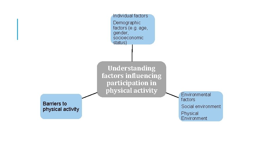 Individual factors Demographic factors (e. g. age, gender, socioeconomic status) Understanding factors influencing participation