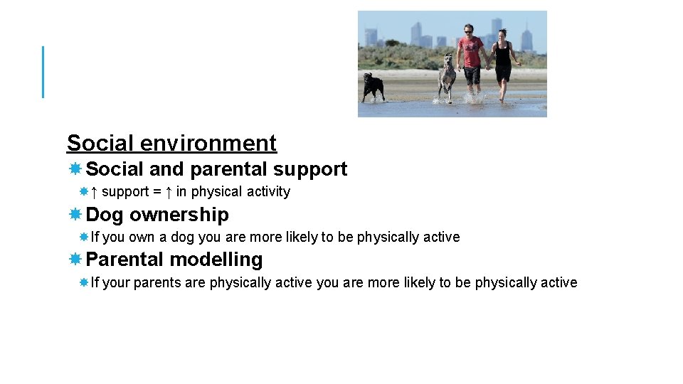 Social environment Social and parental support ↑ support = ↑ in physical activity Dog