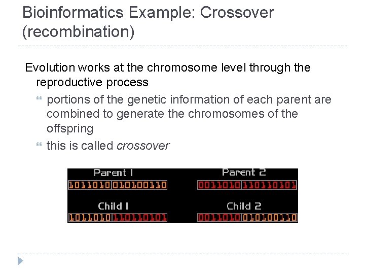 Bioinformatics Example: Crossover (recombination) Evolution works at the chromosome level through the reproductive process