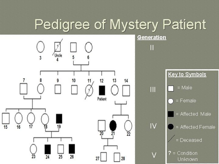 Pedigree of Mystery Patient Generation II Key to Symbols III = Male = Female