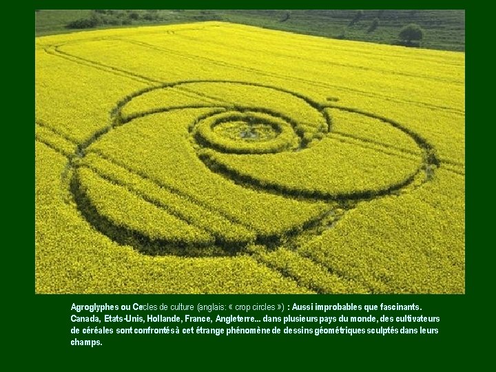 Agroglyphes ou Cercles de culture (anglais: « crop circles » ) : Aussi improbables