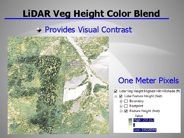 Li. DAR Veg Height Color Blend Provides Visual Contrast One Meter Pixels 