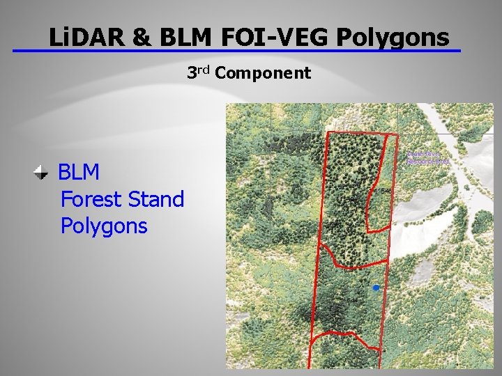 Li. DAR & BLM FOI-VEG Polygons 3 rd Component BLM Forest Stand Polygons 