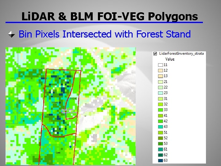 Li. DAR & BLM FOI-VEG Polygons Bin Pixels Intersected with Forest Stand 