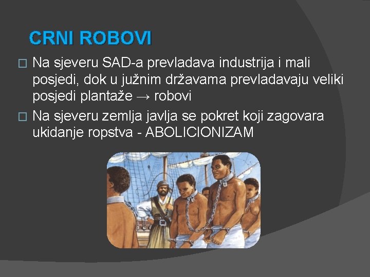 CRNI ROBOVI Na sjeveru SAD-a prevladava industrija i mali posjedi, dok u južnim državama