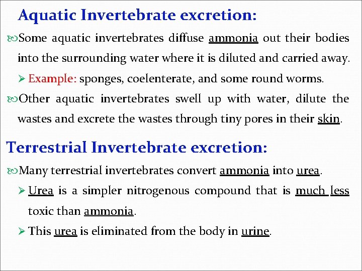 Aquatic Invertebrate excretion: Some aquatic invertebrates diffuse ammonia out their bodies into the surrounding