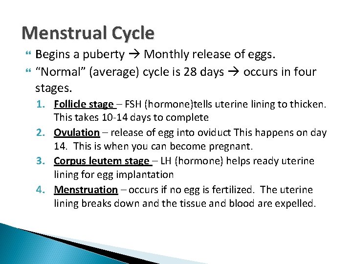 Menstrual Cycle Begins a puberty Monthly release of eggs. “Normal” (average) cycle is 28