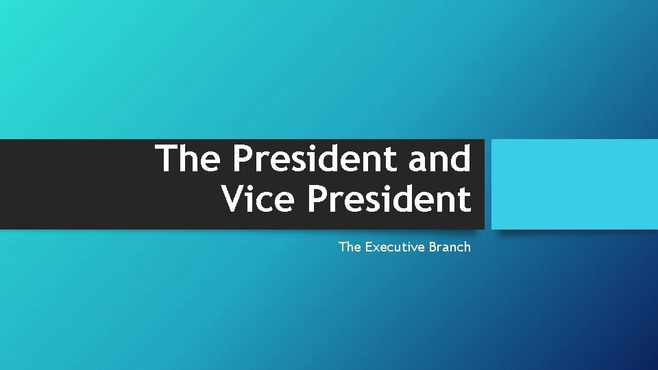 The President and Vice President The Executive Branch 