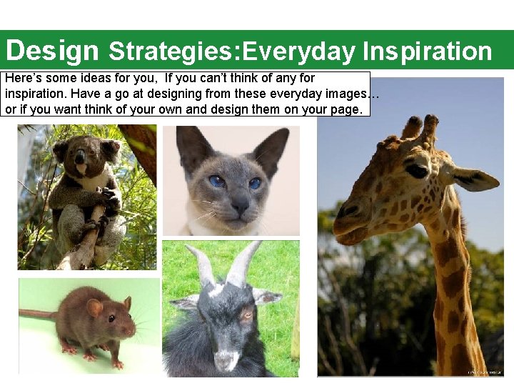 Design Strategies: Everyday Inspiration Here’s some ideas for you, If you can’t think of