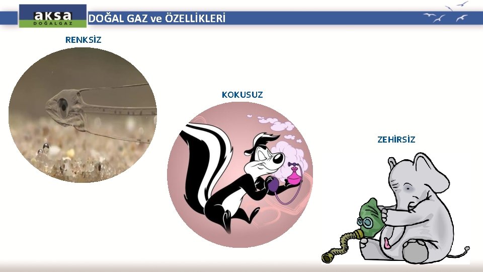 DOĞAL GAZ ve ÖZELLİKLERİ RENKSİZ KOKUSUZ ZEHİRSİZ 