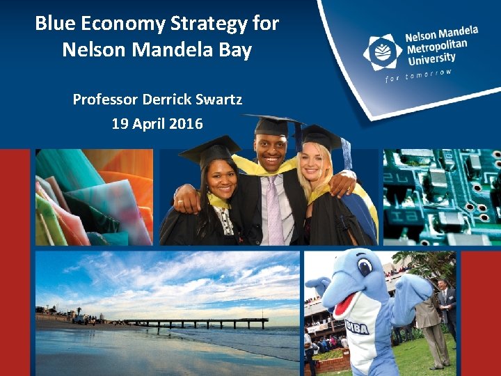 Blue Economy Strategy for Nelson Mandela Bay Professor Derrick Swartz 19 April 2016 
