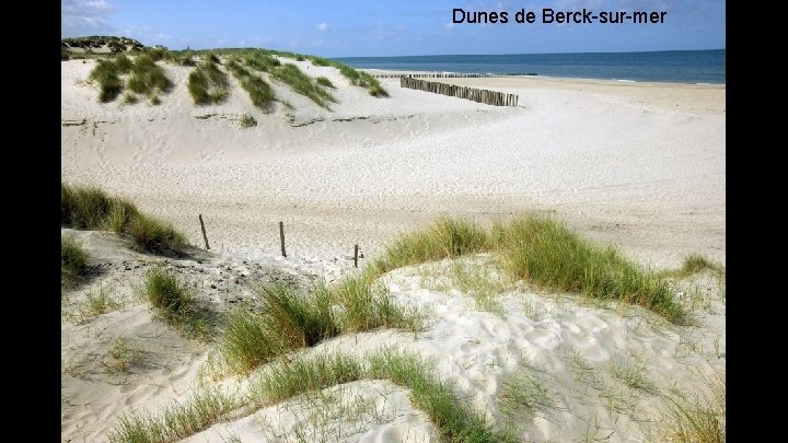 Dunes de Berck-sur-mer 