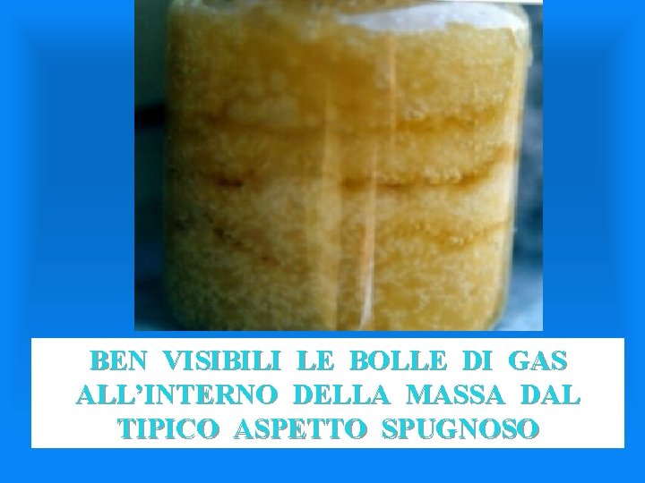 BEN VISIBILI LE BOLLE DI GAS ALL’INTERNO DELLA MASSA DAL TIPICO ASPETTO SPUGNOSO 