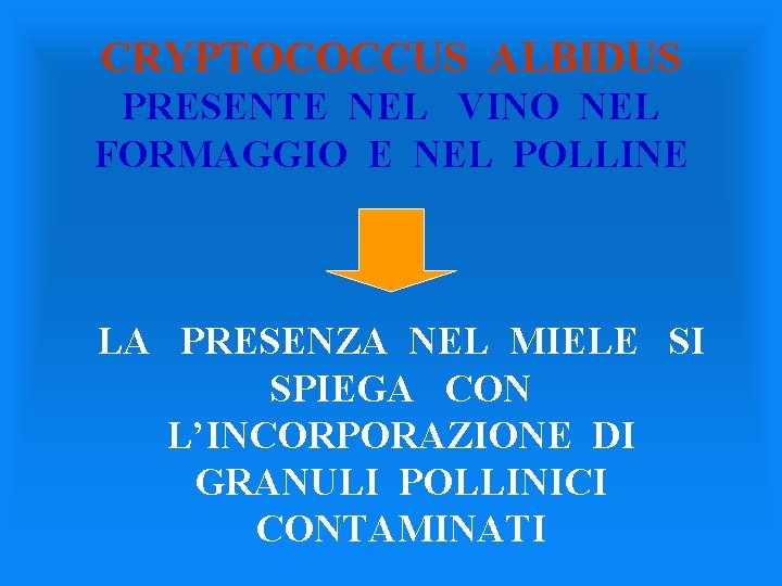CRYPTOCOCCUS ALBIDUS PRESENTE NEL VINO NEL FORMAGGIO E NEL POLLINE LA PRESENZA NEL MIELE