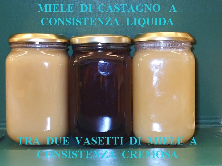 MIELE DI CASTAGNO A CONSISTENZA LIQUIDA TRA DUE VASETTI DI MIELE A CONSISTENZA CREMOSA