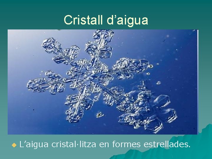 Cristall d’aigua u L’aigua cristal·litza en formes estrellades. 