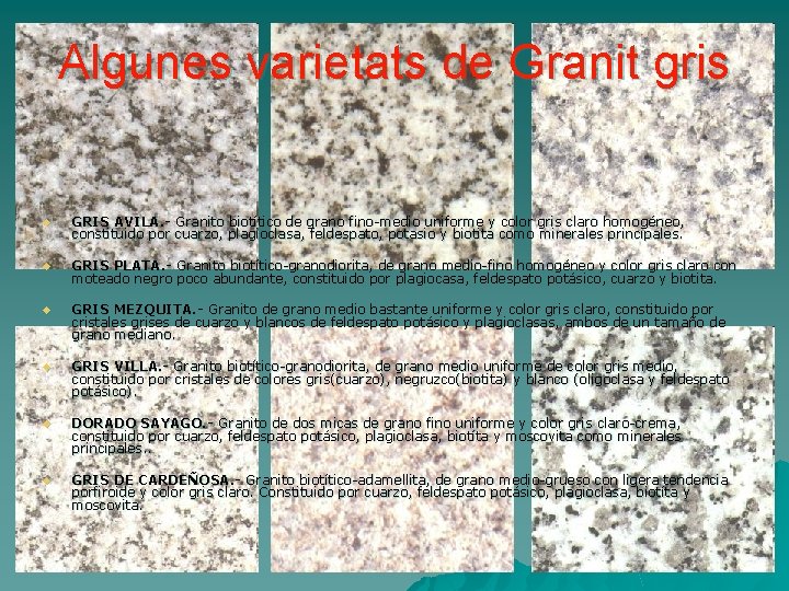 Algunes varietats de Granit gris u GRIS AVILA. - Granito biotítico de grano fino-medio