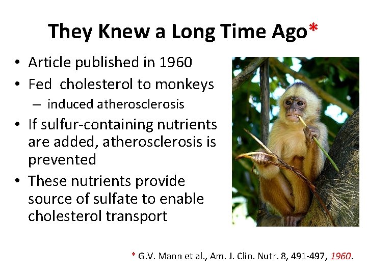 They Knew a Long Time Ago* • Article published in 1960 • Fed cholesterol