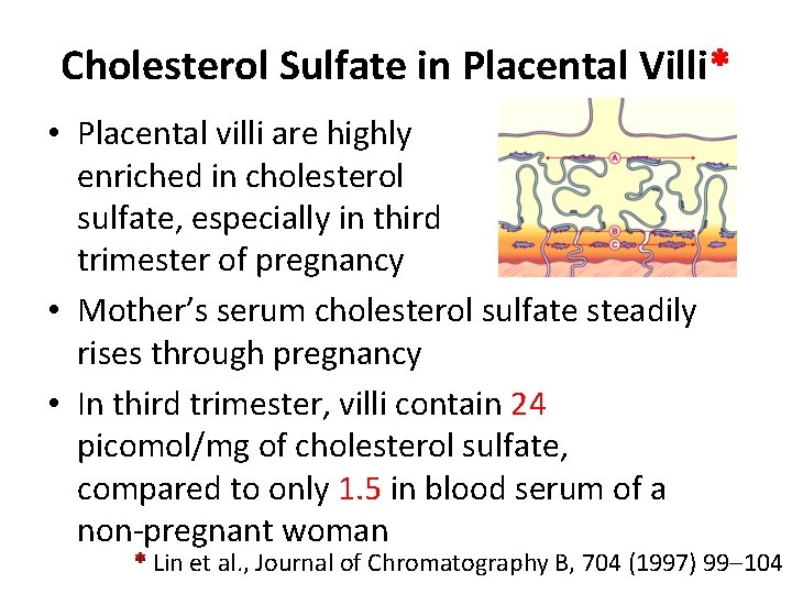 Cholesterol Sulfate in Placental Villi* • Placental villi are highly enriched in cholesterol sulfate,