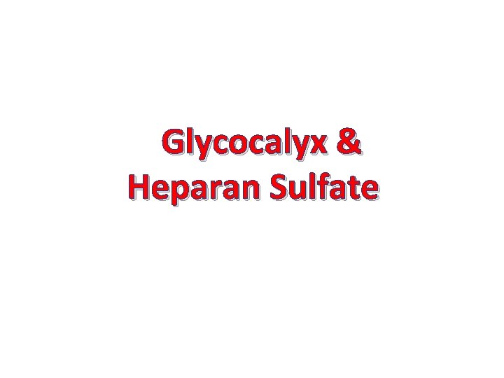 Glycocalyx & Heparan Sulfate 