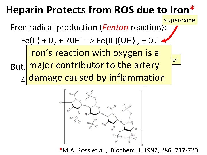 Heparin Protects from ROS due to Iron* superoxide Free radical production (Fenton reaction): Fe(II)