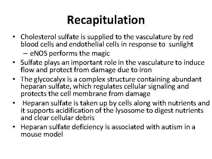 Recapitulation • Cholesterol sulfate is supplied to the vasculature by red blood cells and