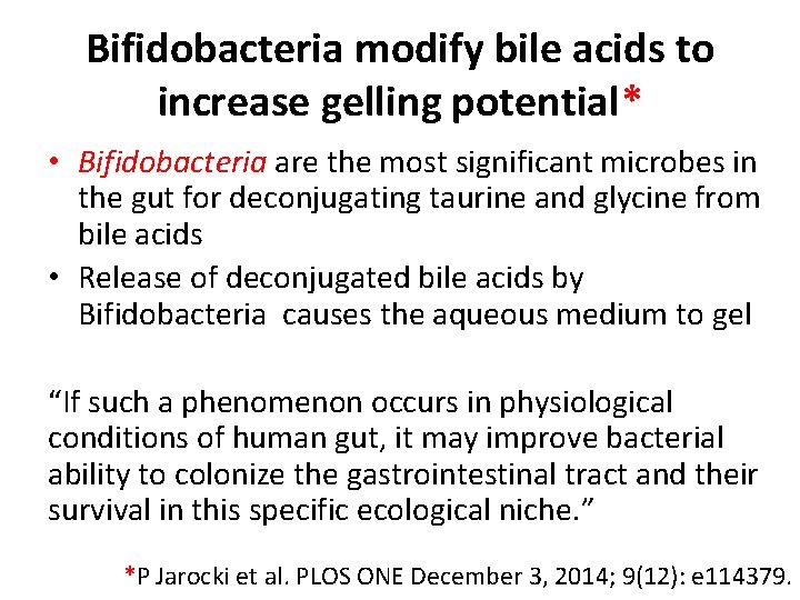 Bifidobacteria modify bile acids to increase gelling potential* • Bifidobacteria are the most significant