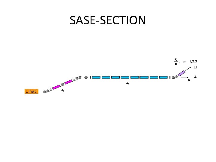 SASE-SECTION 