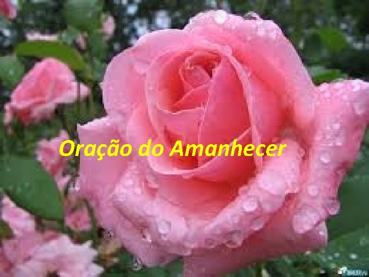 Oração do Amanhecer 