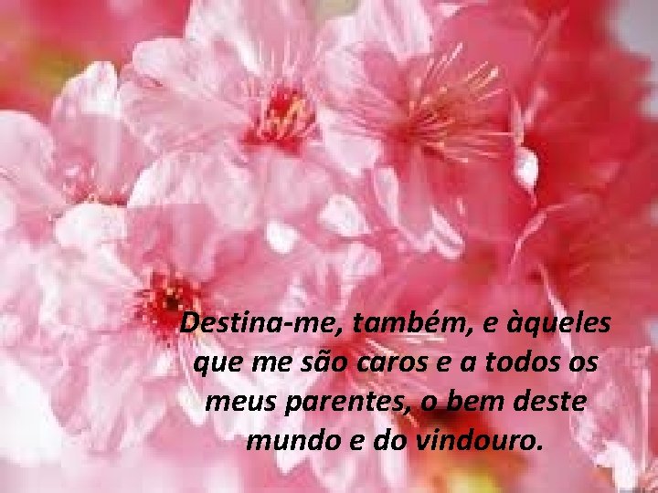 Destina-me, também, e àqueles que me são caros e a todos os meus parentes,