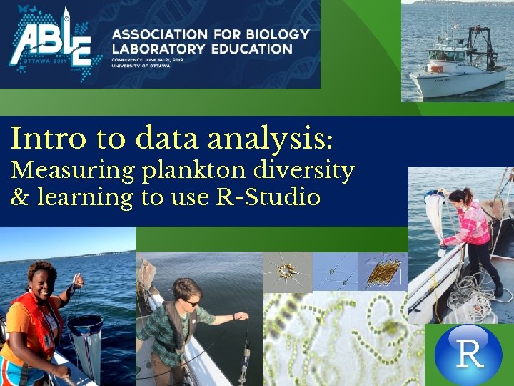 Intro to data analysis: Measuring plankton diversity & learning to use R-Studio 