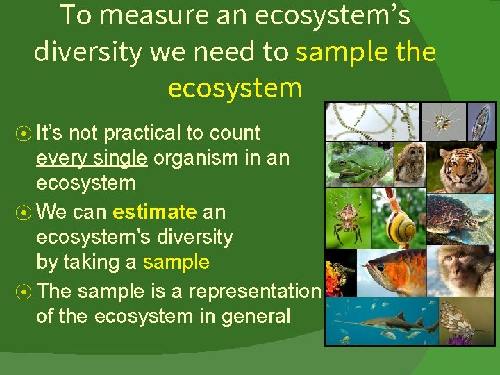 To measure an ecosystem’s diversity we need to sample the ecosystem ⦿ It’s not