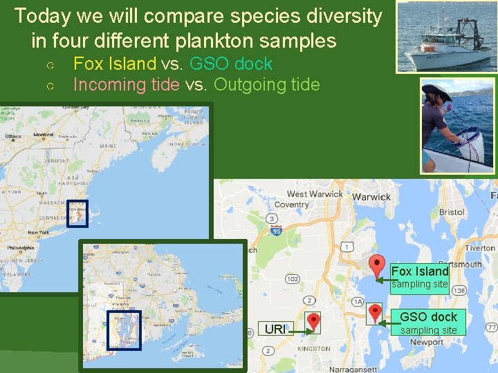 Today we will compare species diversity in four different plankton samples ○ ○ Fox