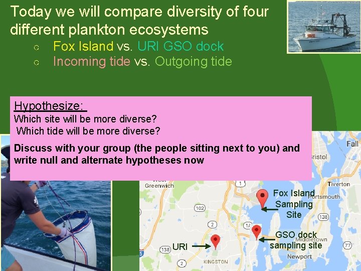 Today we will compare diversity of four different plankton ecosystems ○ ○ Fox Island