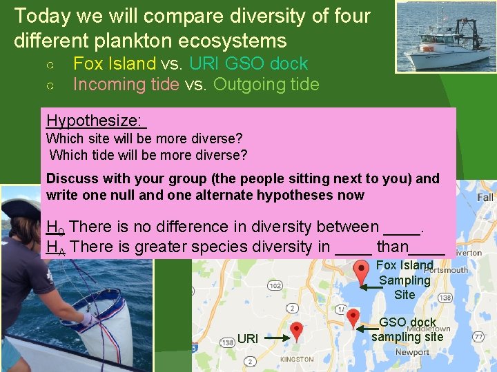 Today we will compare diversity of four different plankton ecosystems ○ ○ Fox Island