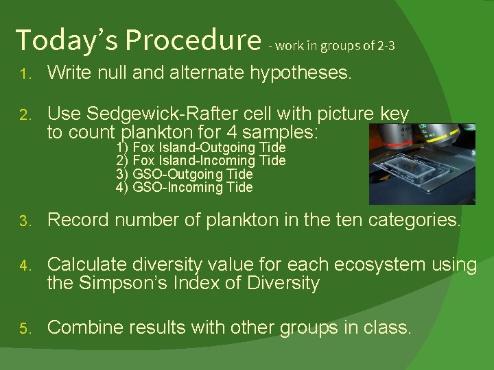 Today’s Procedure - work in groups of 2 -3 1. Write null and alternate