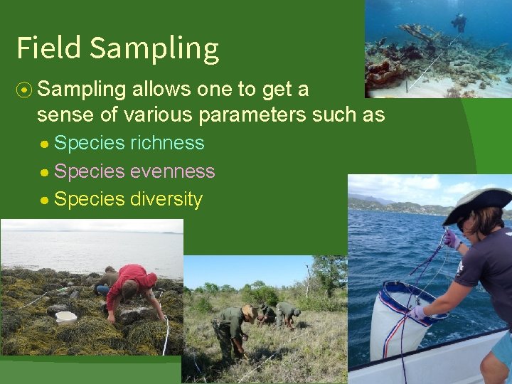 Field Sampling ⦿ Sampling allows one to get a sense of various parameters such