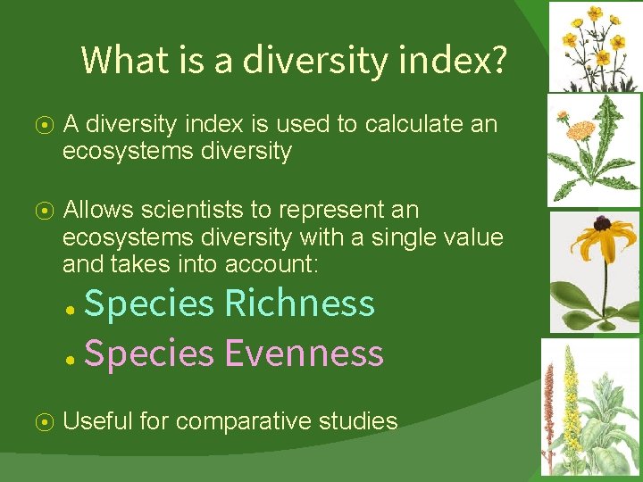 What is a diversity index? ⦿ A diversity index is used to calculate an