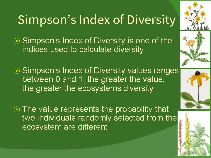 Simpson’s Index of Diversity ⦿ Simpson’s Index of Diversity is one of the indices