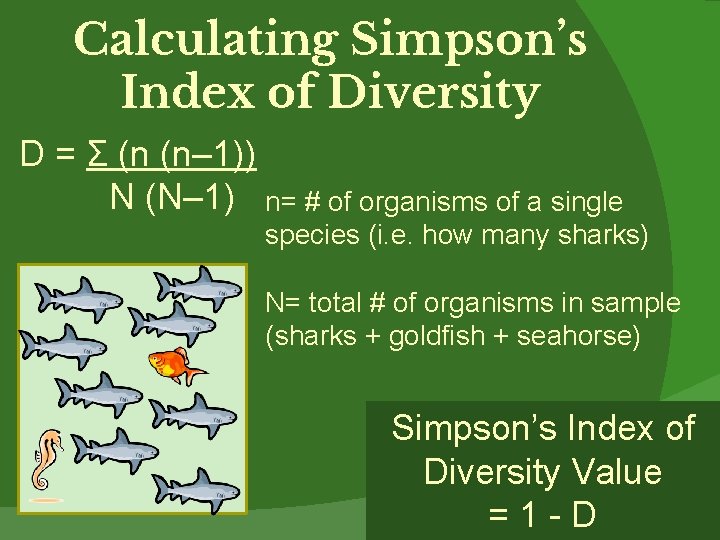 Calculating Simpson’s Index of Diversity D = Σ (n (n– 1)) N (N– 1)