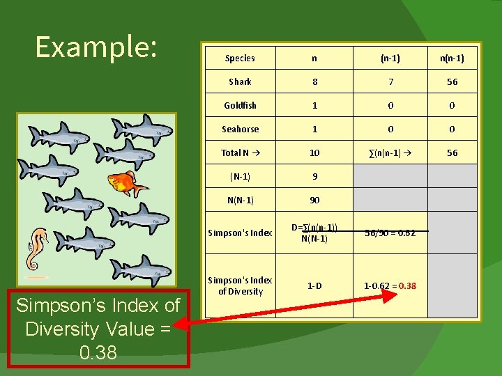 Example: Simpson’s Index of Diversity Value = 0. 38 Species n (n-1) n(n-1) Shark