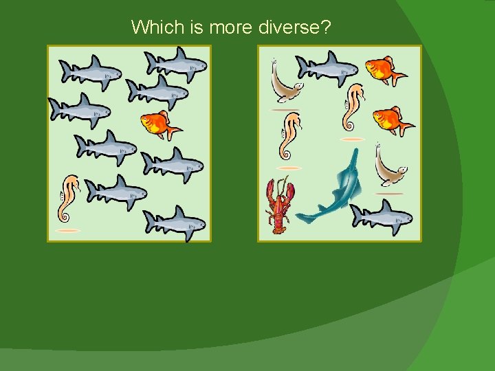 Which is more diverse? 