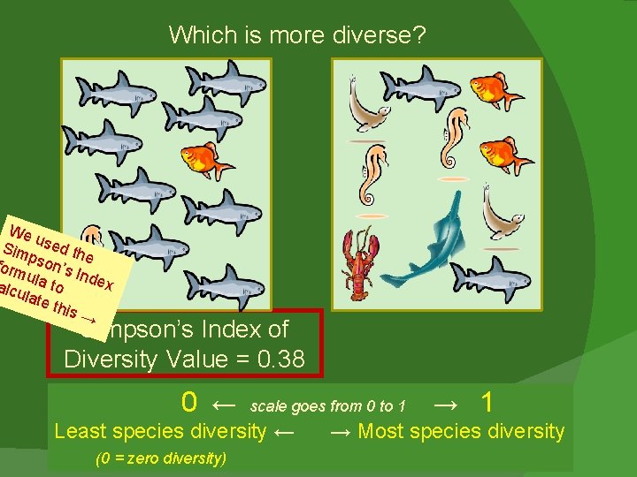 Which is more diverse? We u Sim sed th e pso n orm ’